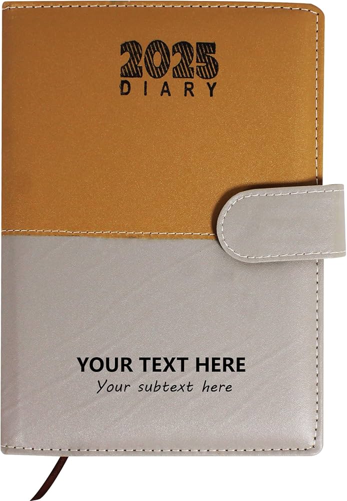 New Year Diaries
